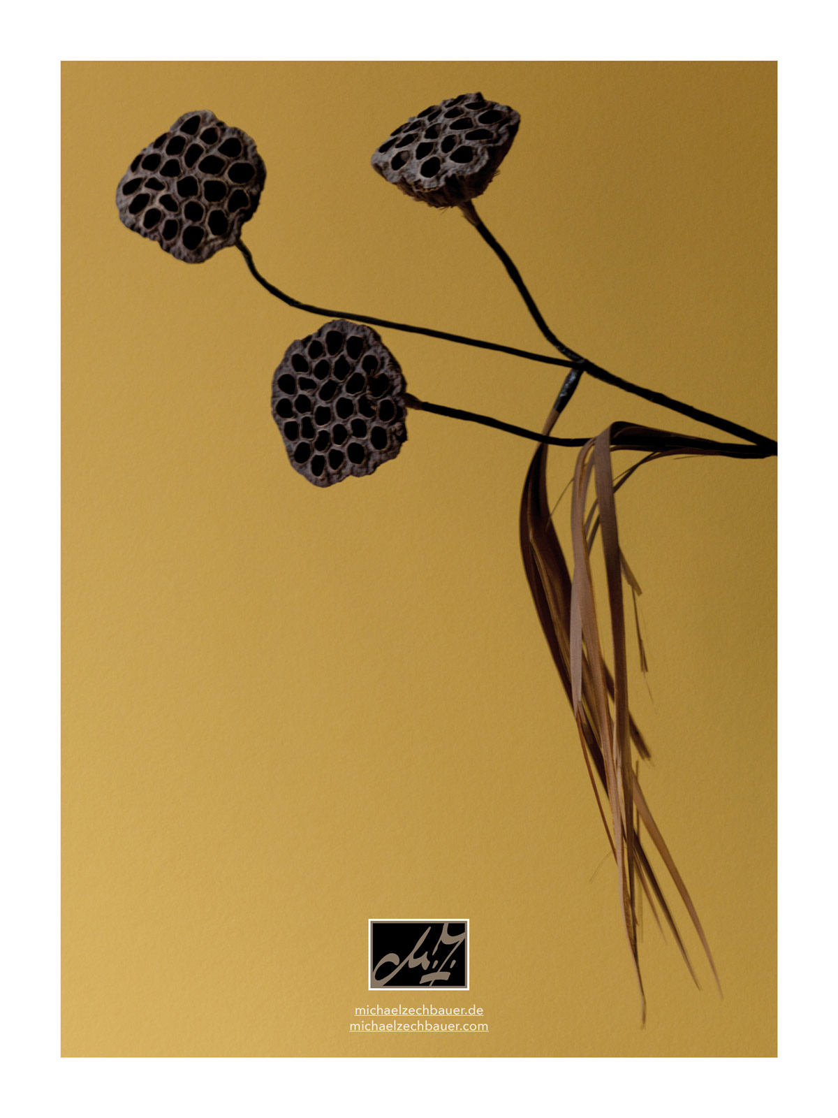 thomas elsner studio | zechbauer catalogue s/s 2017