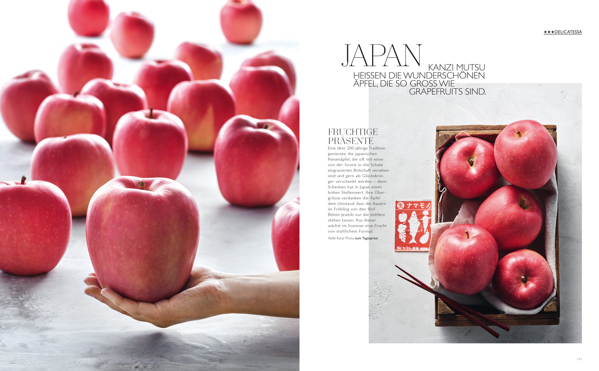 thomas elsner studio | globus magazine 2017